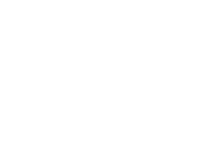 cosmos